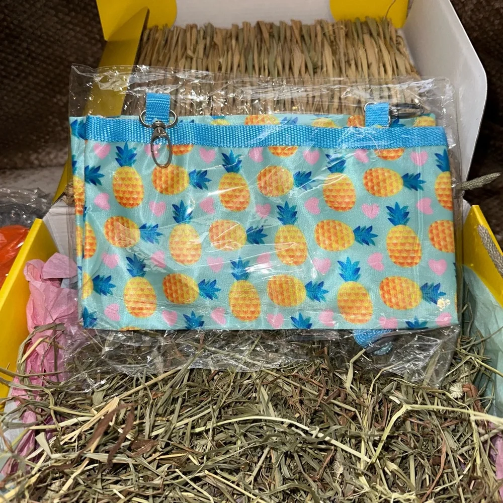 Bunny rabbit *large* treat and toy box (very last one)
